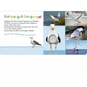 Produktbild für Spielbuch ars-Edition Am Meer - Hör mal rein