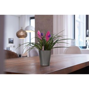 Produktbild für Übertopf Lechuza MINI-DELTINI, anthrazit metallic, 10x13x10 cm