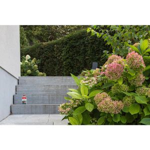 Produktbild für Steinimprägnierung Mellerud Stein&amp;Platten ca. 20m²