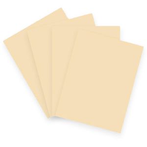 Produktbild für Kopierpapier Papyrus Rainbow 88042275