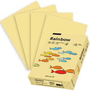 Produktbild für Kopierpapier Papyrus Rainbow 88376504