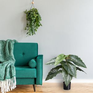 Produktbild für Kunstpflanze Creativ-green Taropflanze