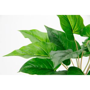 Produktbild für Kunstpflanze I.GE.A. Anthuriumblatt Pothos