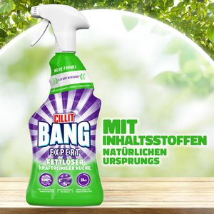 Produktbild für Fettlöser Cillit-Bang Expert Universal Fettlöser
