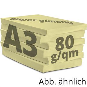 Produktbild für Kopierpapier Papyrus Rainbow 88042300
