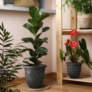 Produktbild für Pflanztopf Plastard Capri, 66 Liter