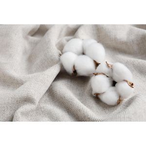 Produktbild für Duftkerzen ipuro Essentials cotton fields