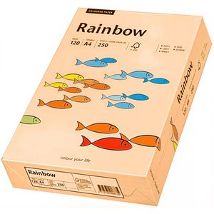 Produktbild für Kopierpapier Papyrus Rainbow 88042502