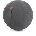 Sitzball
