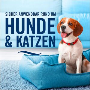 Produktbild für Textilerfrischer Febreze Goldene Orchidee