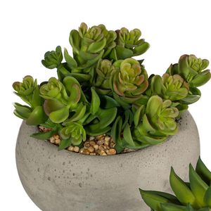 Produktbild für Kunstpflanze Creativ-green Sukkulenten-Mix