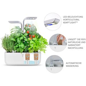 Produktbild für Anzuchtkasten Veritable Smart White, 33x18,5x45cm