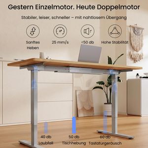 Produktbild für Schreibtisch FlexiSpot E1S Pro, ahorn / grau