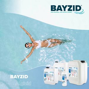 Produktbild für Algizid Höfer-Chemie Bayzid, Algenverhütung