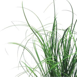 Produktbild für Kunstpflanze Creativ-green Grasbusch