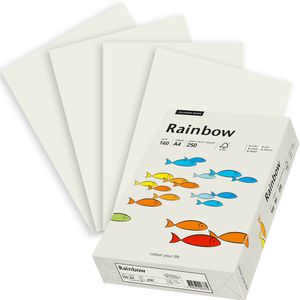 Produktbild für Kopierpapier Papyrus Rainbow 88042234