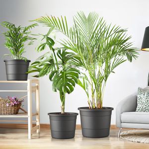 Produktbild für Pflanztopf Plastard Terra, 26 Liter