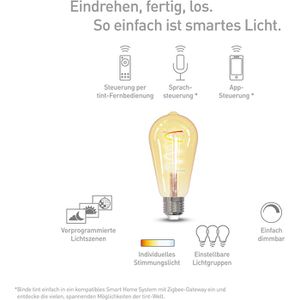 Produktbild für LED-Lampe tint Filament Edison, E27
