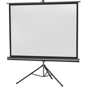 Beamer-Leinwand Celexon Economy