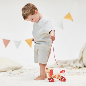Produktbild für Motorikspielzeug Hape E0347, Nachziehhund Pepe