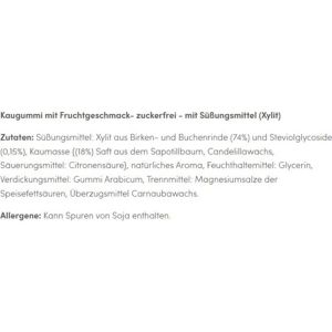 Produktbild für Kaugummis Birkengold Natur, Frucht