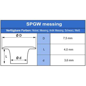 Produktbild für Ösen Micron-America für Ösenpresse TEP-1 und TEP-3