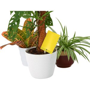 Produktbild für Gelbtafeln Nexa-Lotte Gelbstecker, Set, zum Hängen und Stecken