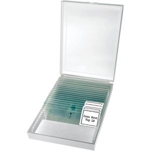 Produktbild für Mikroskop Bresser Erudit Basic Mono, analog, mit Durchlicht