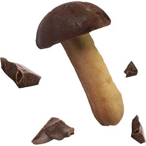 Produktbild für Kekse Hellma Glückspilze