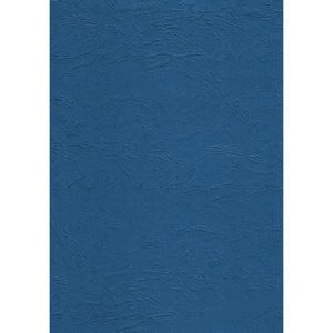 Deckblätter Fellowes 53713 Delta, A4