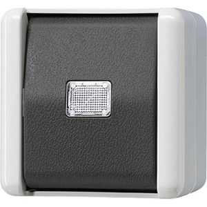 Lichtschalter Jung 831 W, WG 800, grau