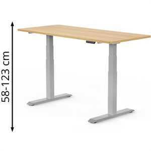 Schreibtisch FlexiSpot E7S 2026, ahorn / grau
