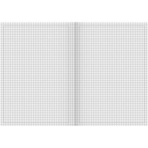 Produktbild für Schulheft Brunnen 104494202, ab 5. Klasse, A4