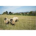 Produktbild in Größe 120