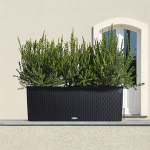 Produktbild für Pflanzkasten Lechuza TRIO Cottage 40 graphit