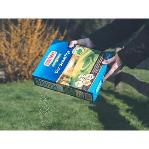 Produktbild für Rasensamen Substral Der Schattige