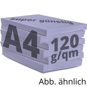 Produktbild für Kopierpapier Papyrus Rainbow 88042568