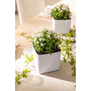 Produktbild für Übertopf Lechuza CUBE Glossy 14, weiß hochglanz, 14x14x14cm