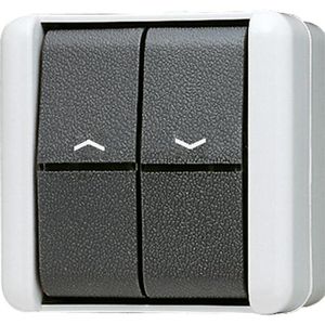 Jalousieschalter Jung 809 VW, WG 800, grau