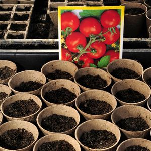 Produktbild für Anzuchttöpfe Relaxdays 10030051, 80 Stück