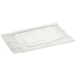 Produktbild für Pflaster Holthaus Ypsipor, 10 Strips