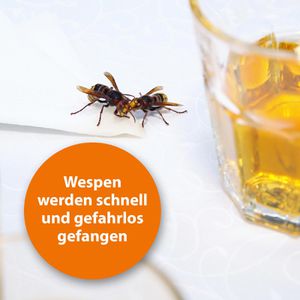 Produktbild für Wespenfalle ARDAP 077702, aus Kunststoff