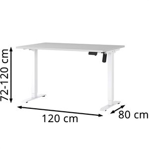 Produktbild für Schreibtisch Germania Profi 3.0, 8022-642, lichtgrau / weiß