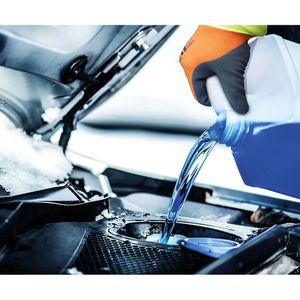 Produktbild für Arbeitshandschuhe ACE-Instruments Frost Thermo