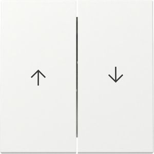 Schalter-Wippe Gira System 55, 3294 27