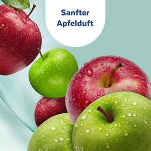 Produktbild für Desinfektionsmittel Sagrotan Handschaum mit Apfelduft