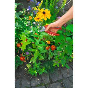 Produktbild für Gartenschere Wolf-Garten RS2500 Comfort Plus, Amboss