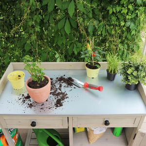 Produktbild für Pflanztisch Habau 3088, grau