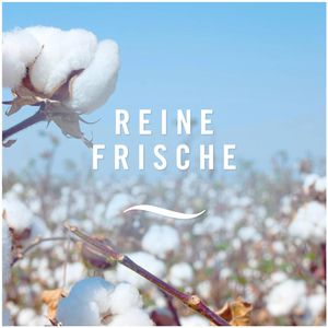 Produktbild für Autoduft Febreze Car, Reine Frische, 6er Mega Pack