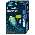 Produktbild in Größe 120